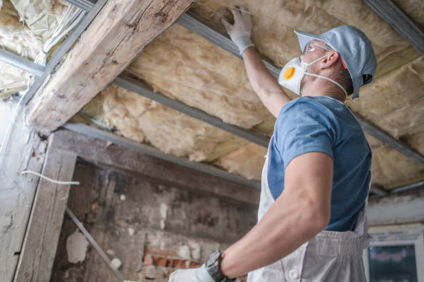 Types of Insulation We Offer in Oxford, NC
