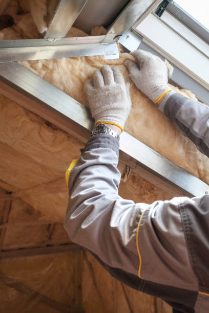 Best DIY Insulation Kits and Guidance in Oxford, NC
